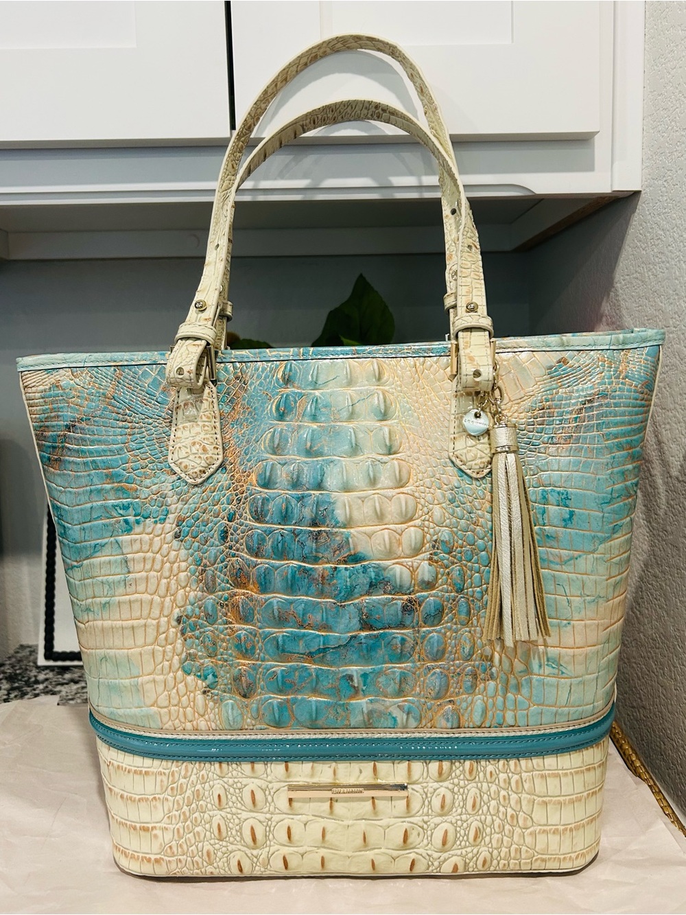 Brahmin Serendipity Schulz Asher Tote with Tassel